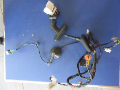 Picture of KABELBAUM TÜR RECHTS VORNE, KIA CEED (ED)