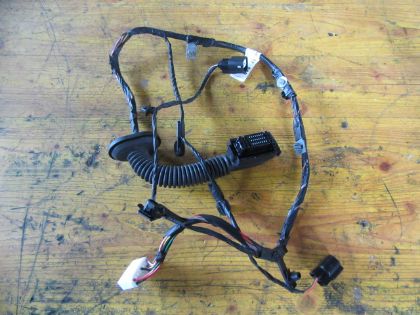 Picture of KABELBAUM TÜR LINKS VORNE, KIA PICANTO (TA)