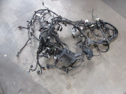 Picture of KABELBAUM HAUPT, KIA PICANTO (TA)