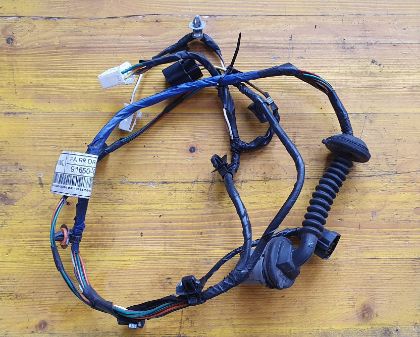 Bild von KABELBAUM TÜR RECHTS HINTEN, i10 1,1