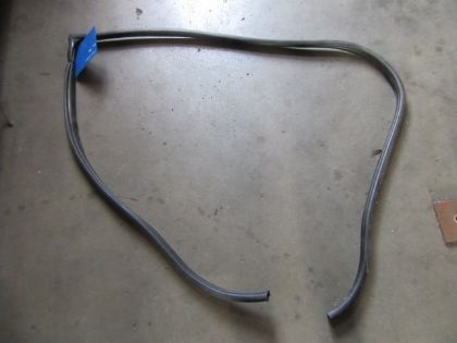 Bild von DICHTGUMMI TÜR RECHTS VORNE, HYUNDAI i30 (FD)