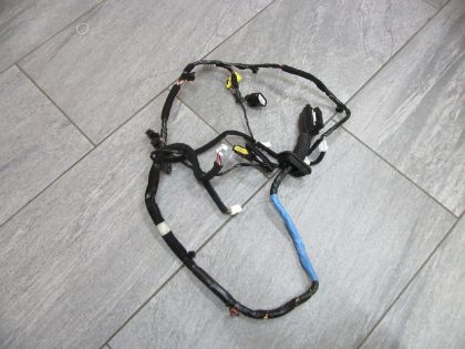 Bild von KABELBAUM TÜR LINKS VORNE, HYUNDAI i20 (GB) 1,25 LIMITED PLUS