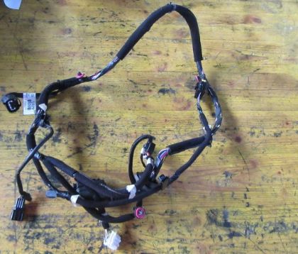 Picture of KABELBAUM TÜR LINKS VORNE, KIA RIO (UB)